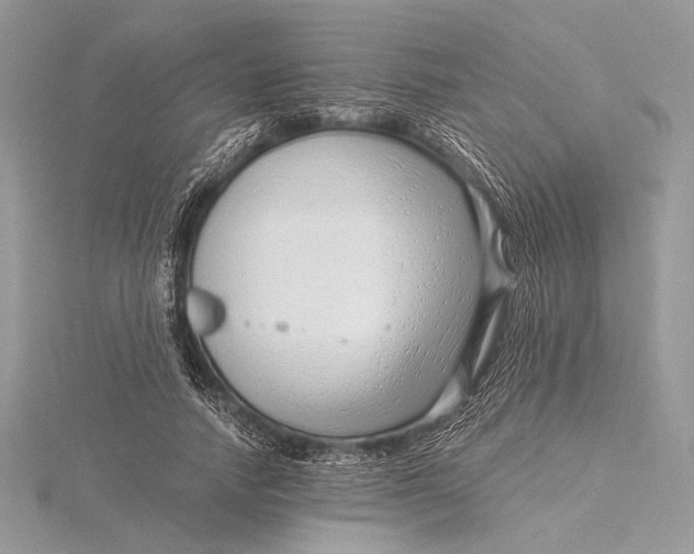 X0000115820738200912041627