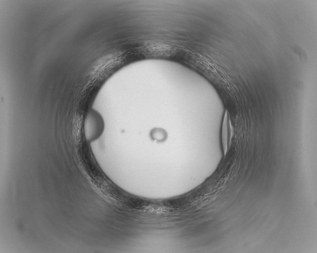 X0000115820742200912041627