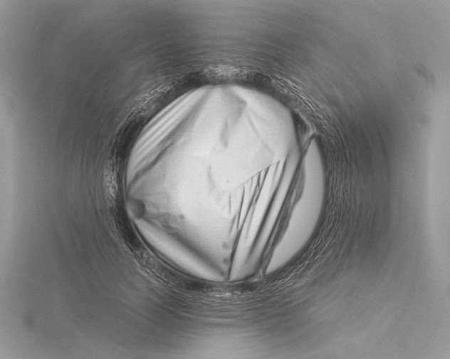 X0000115820746200912041627