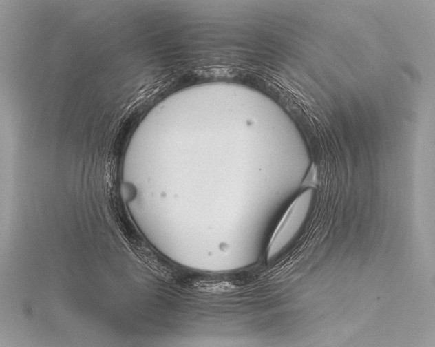 X0000115820747200912041627