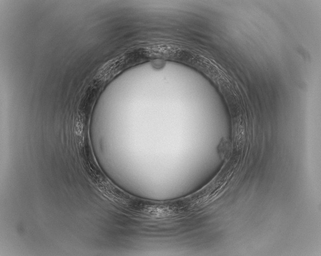 X0000115820749200912041627