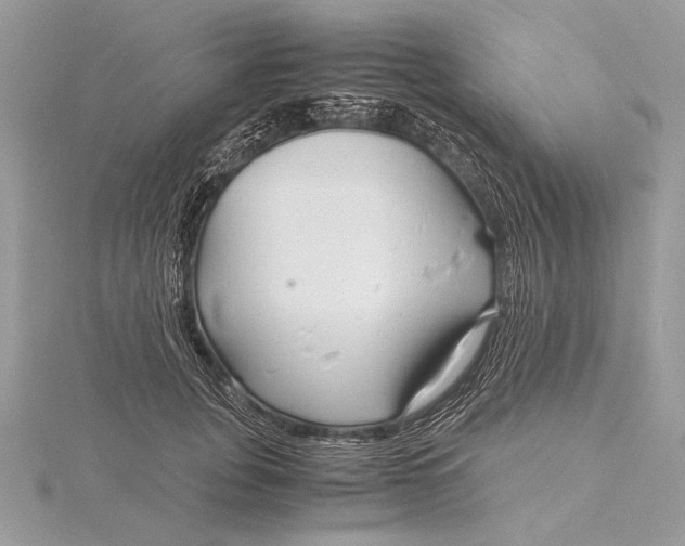 X0000115820751200912041627