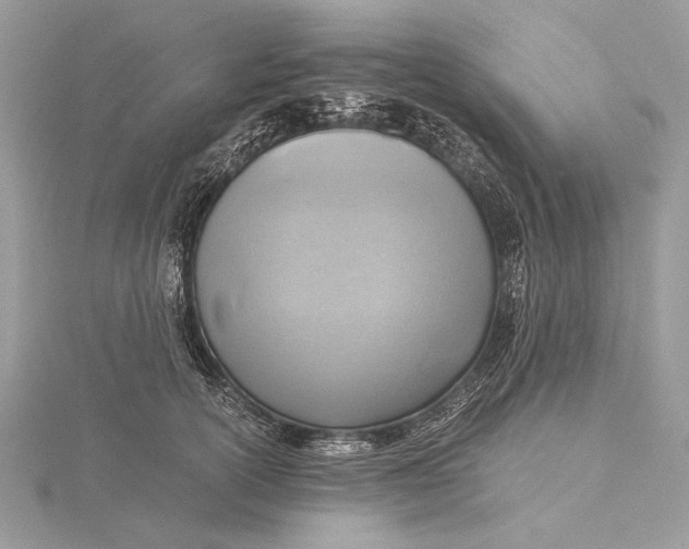 X0000115820754200912041627