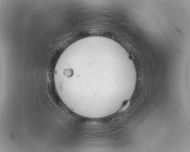 X0000115820755200912041627