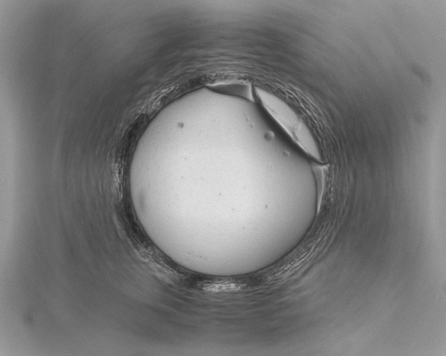 X0000115820759200912041627