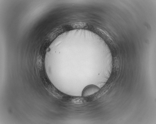 X0000115820761200912041627