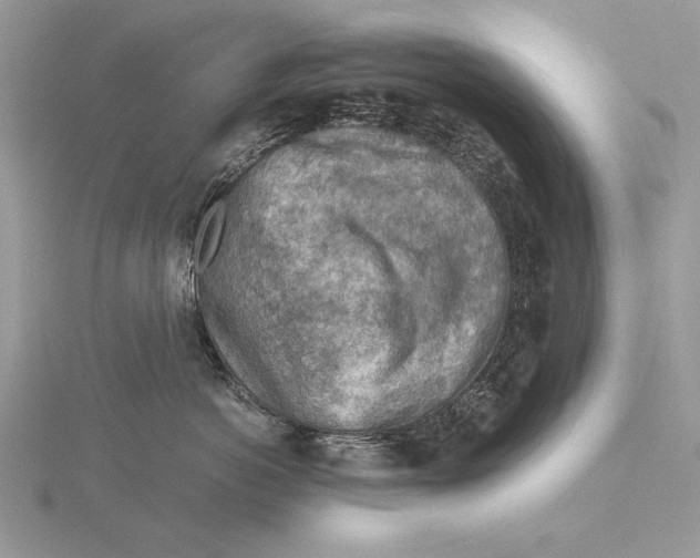 X0000115820766200912041627