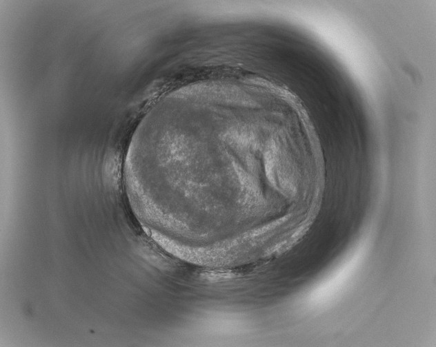 X0000115820767200912041627