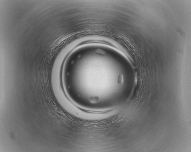 X0000115820773200912041627