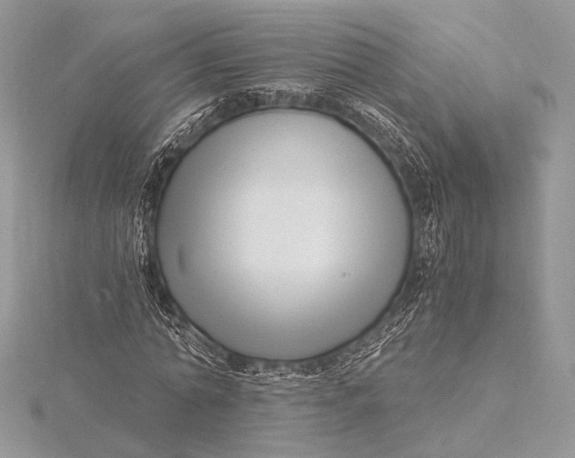 X0000115820774200912041627