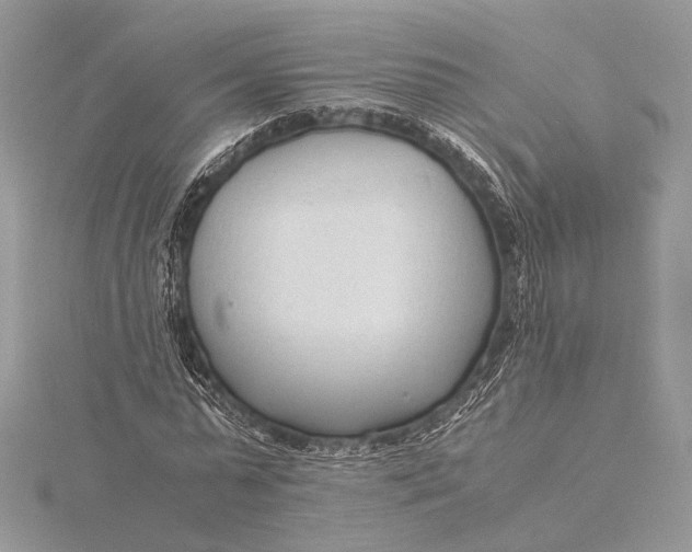 X0000115820775200912041627