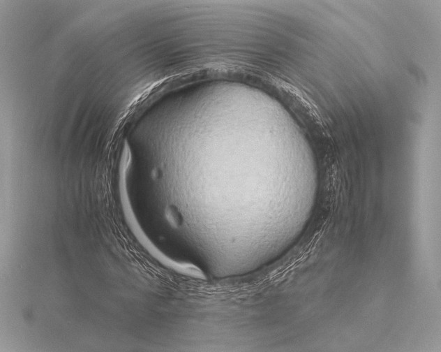 X0000115820776200912041627