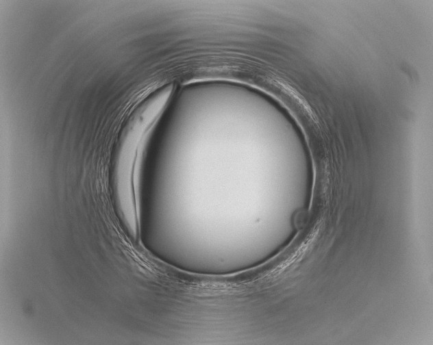 X0000115820777200912041626