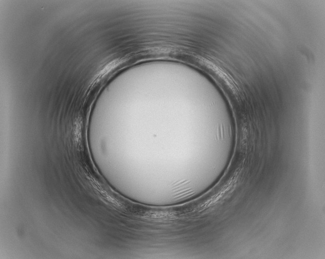 X0000115820778200912041626