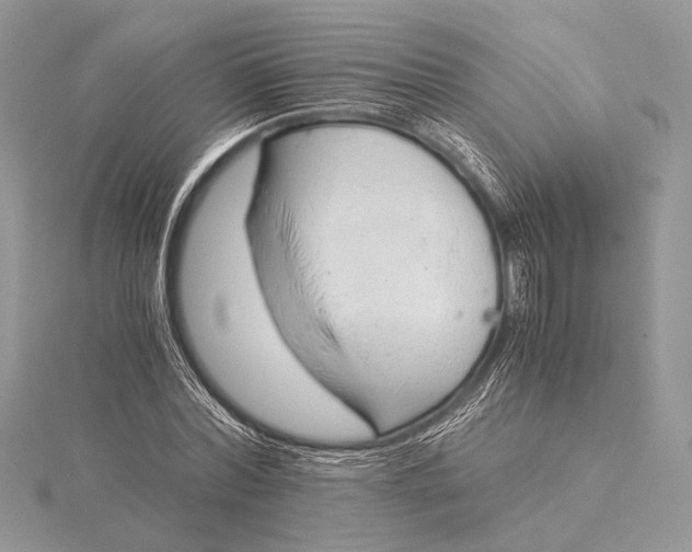 X0000115820780200912041626