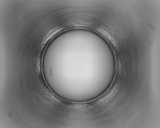 X0000115820782200912041626