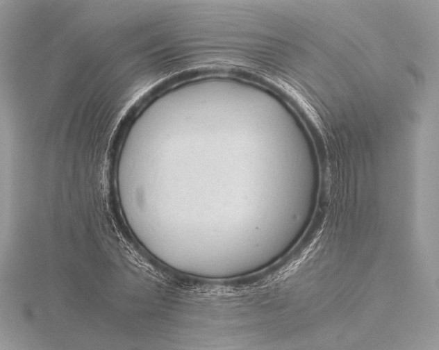 X0000115820783200912041626