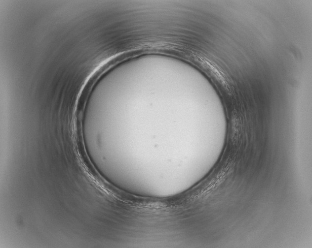 X0000115820784200912041626