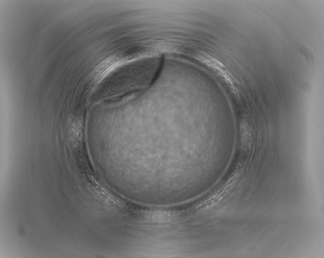 X0000115820785200912041626