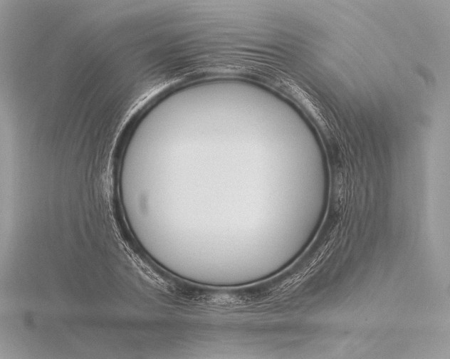 X0000115820787200912041626