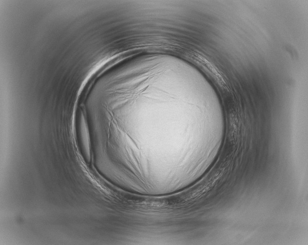 X0000115820788200912041626