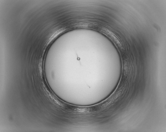 X0000115820794200912041626