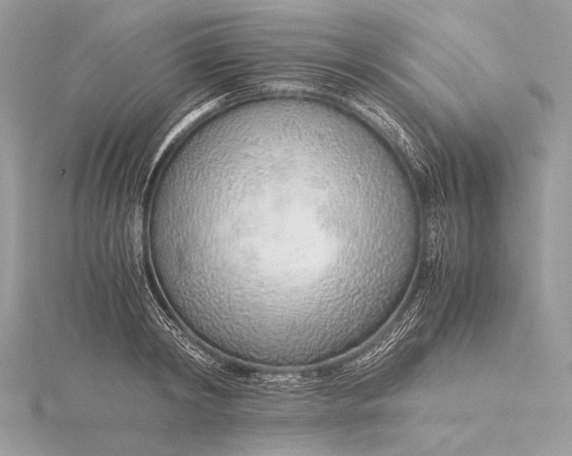 X0000115820798200912041626