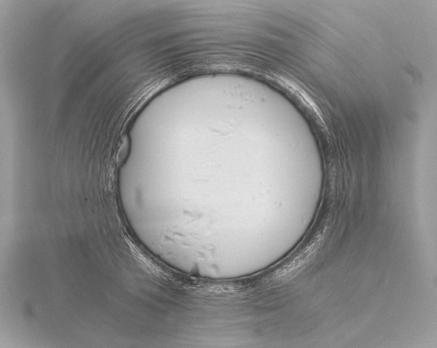 X0000115820801200912041626