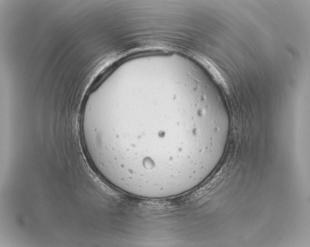 X0000115820805200912041626