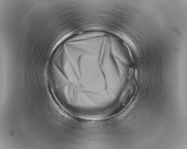 X0000115820806200912041626