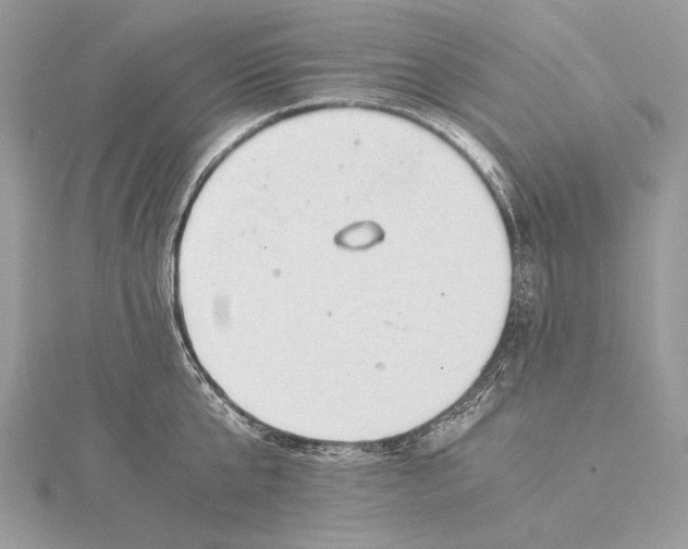 X0000115820807200912041626