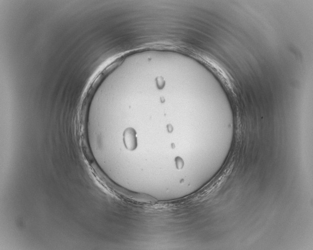 X0000115820808200912041626