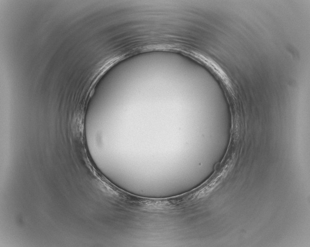 X0000115820809200912041626