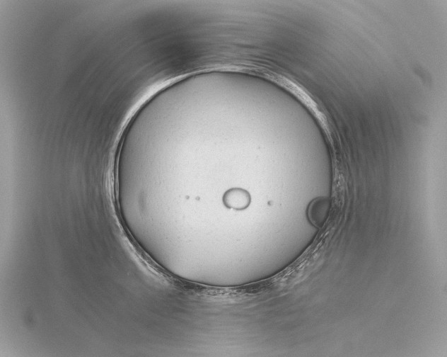 X0000115820811200912041626