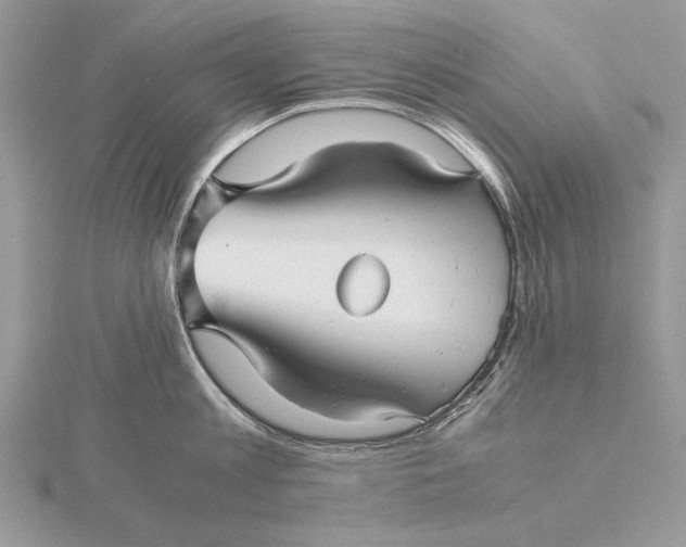 X0000115820813200912041626