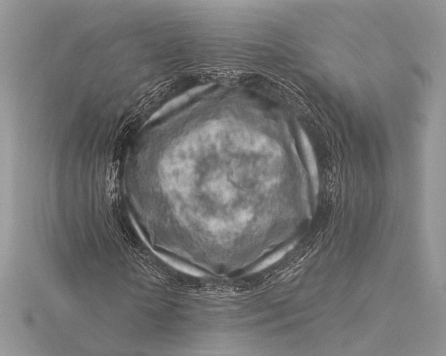 X0000115820818200912041625