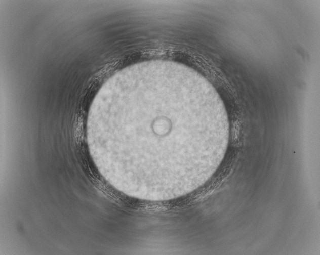 X0000115820820200912041625