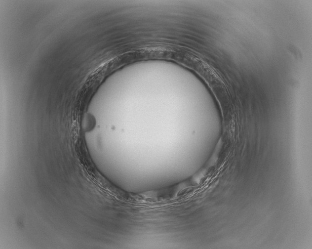 X0000115820821200912041625