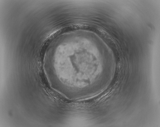 X0000115820822200912041625