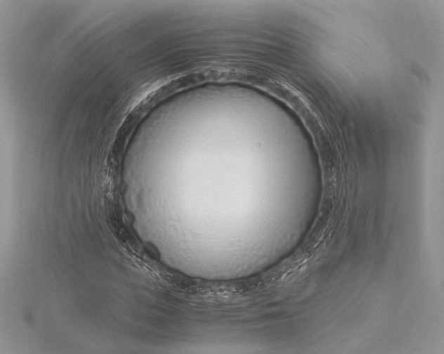 X0000115820823200912041625