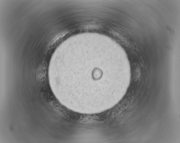 X0000115820824200912041625