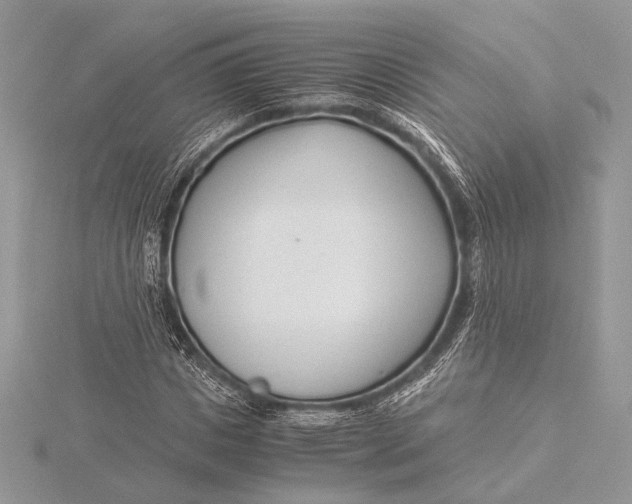 X0000115820825200912041625