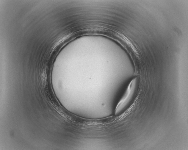 X0000115820826200912041625