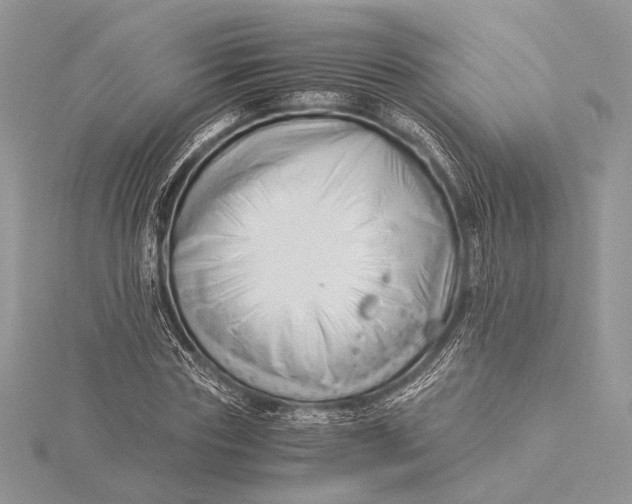 X0000115820827200912041626