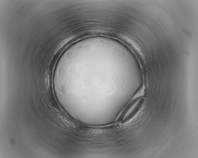 X0000115820829200912041626