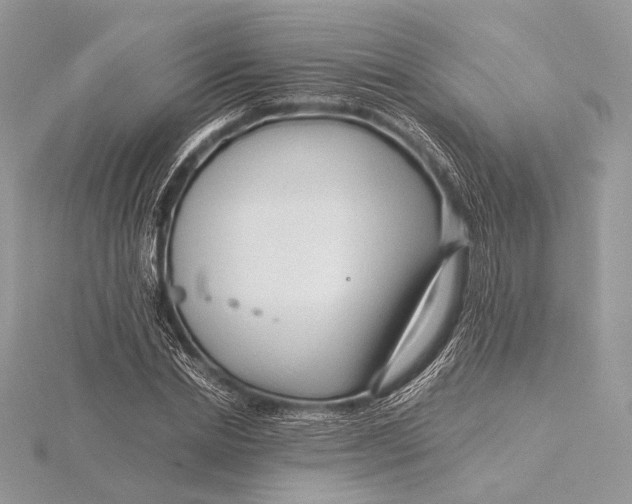 X0000115820830200912041626