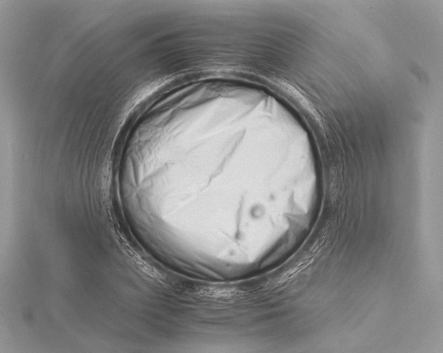 X0000115820831200912041626