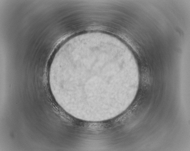 X0000115820832200912041626