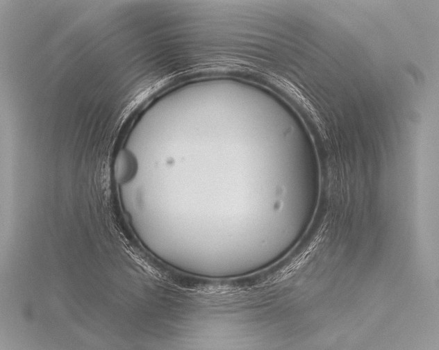 X0000115820834200912041626