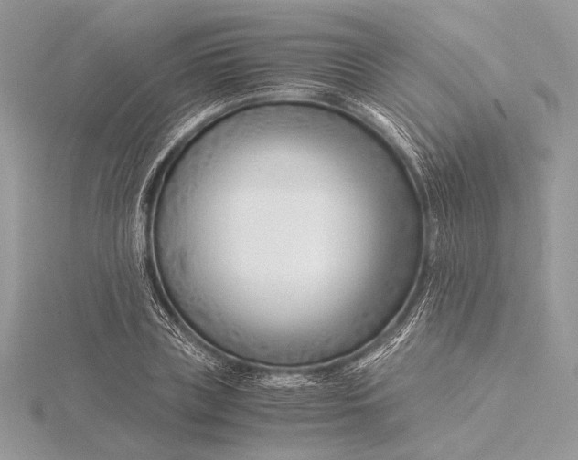 X0000115820835200912041626